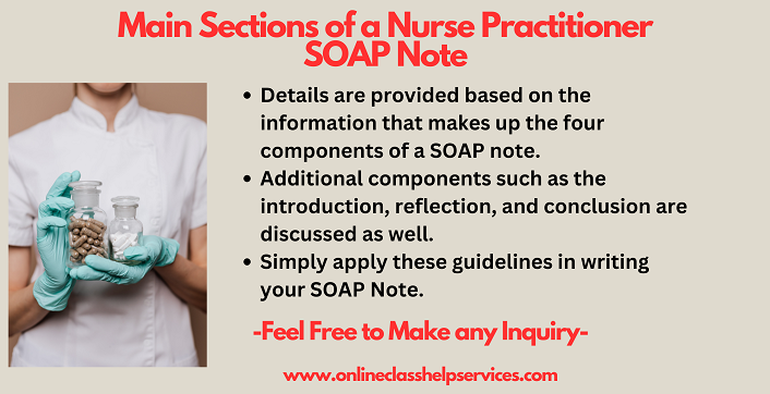 Parts of a nurse practitioner SOAP Notes