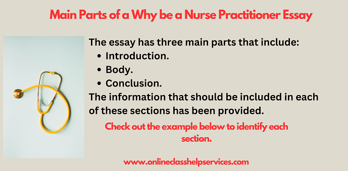 why be a nurse practitioner essay